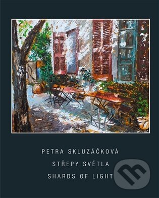Střepy světla
