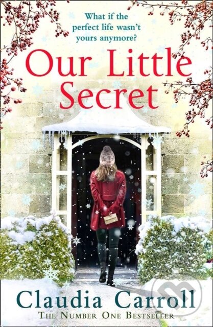Levně Our Little Secret - Claudia Carroll - kniha z kategorie Beletria
