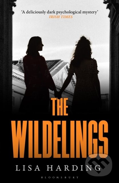 Levně The Wildelings (‘A deliciously dark psychological mystery’ IRISH TIMES) - kniha z kategorie Spoločenská beletria