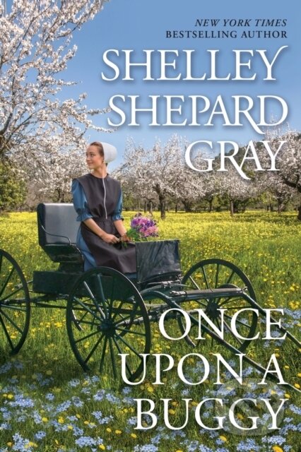 Levně Once Upon a Buggy - Shelley Shepard Gray - kniha z kategorie Spoločenská beletria