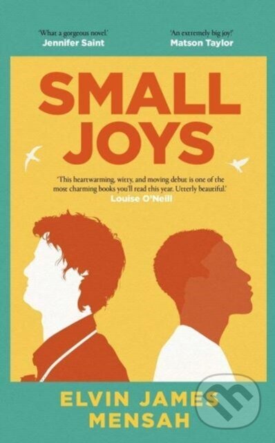 Levně Small Joys (A Buzzfeed 'Amazing New Book You Need to Read ASAP') - kniha z kategorie Spoločenská beletria