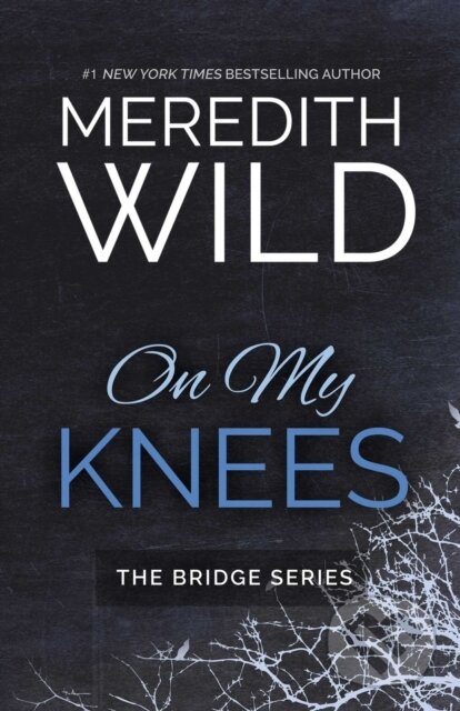 Levně On My Knees - Meredith Wild - kniha z kategorie Romantika
