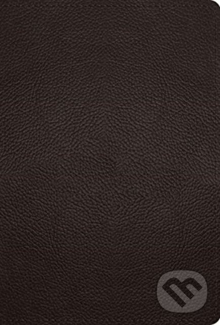 ESV Large Print Compact Bible, Red Letter - Esv