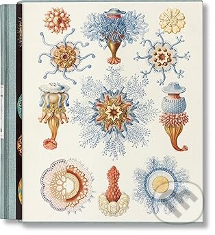 The Art and Science of Ernst Haeckel - Rainer Willmann, Julia Voss