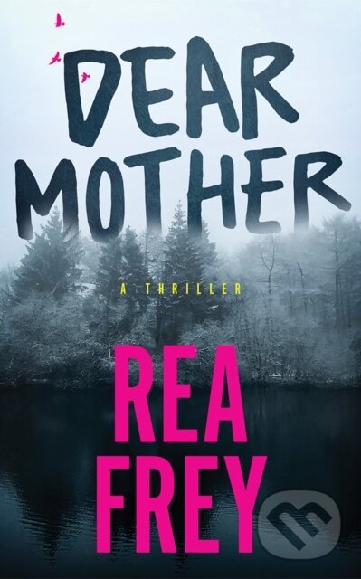 Levně Dear Mother (A Thriller) - Rea Frey - kniha z kategorie Thrillery