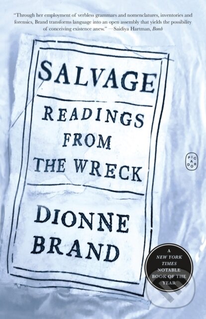 Salvage (Readings from the Wreck) - Dionne Brand