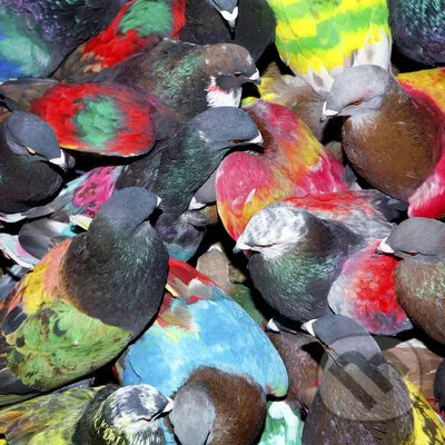 Blawan: Sickelixir - Blawan