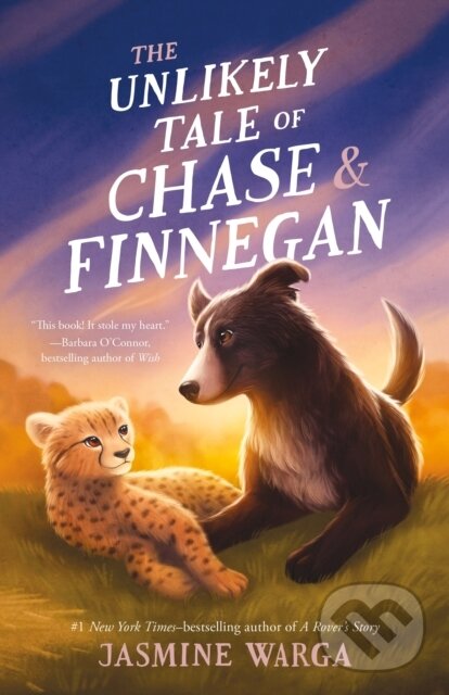 The Unlikely Tale of Chase and Finnegan - Jasmine Warga