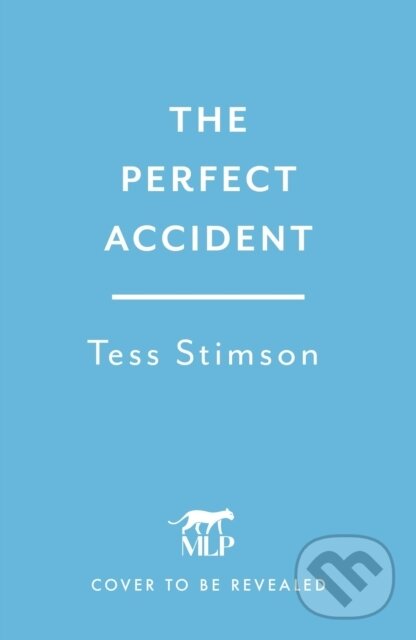 The Perfect Accident (an absolutely gripping psychological suspense thriller to keep you hooked in 2026)