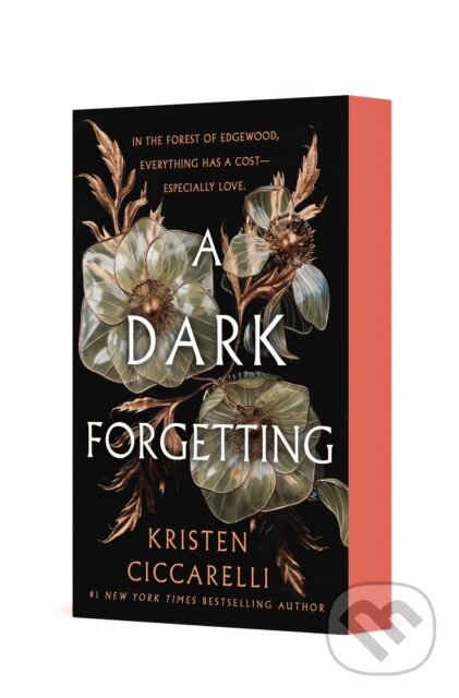 Dark Forgetting (A Novel) - Kristen Ciccarelli