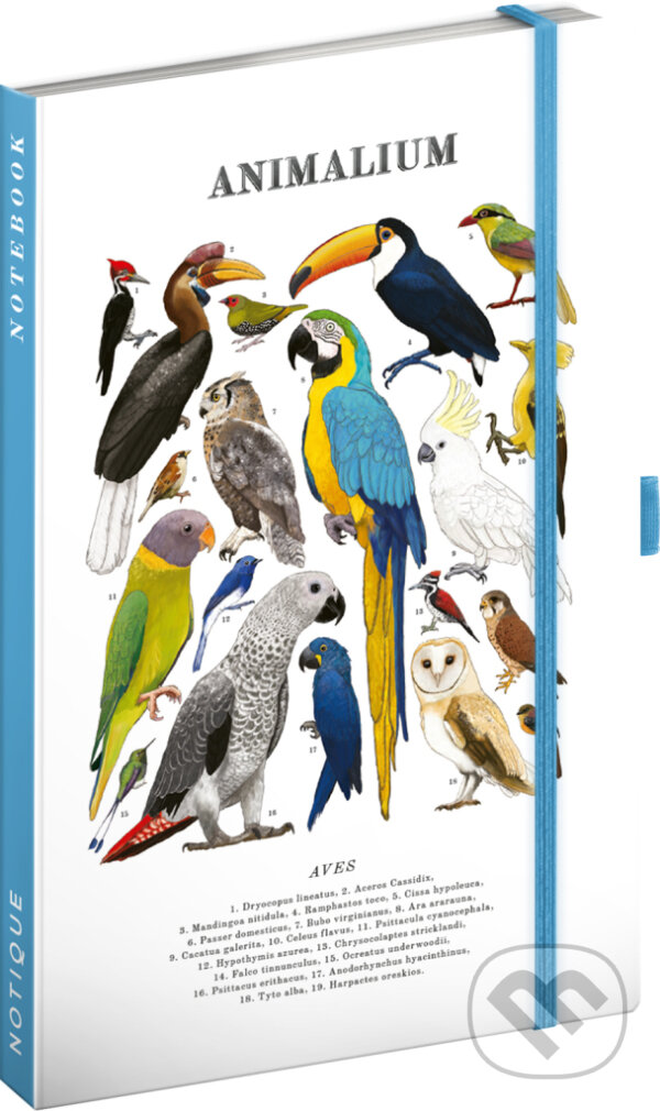 NOTIQUE Notes Animalium – Vtáky (linajkovaný, s uzatváraním na gumičku),NOTIQUE Notes Animalium – Vtáky (linajkovaný, s uzatváraním na gumičku)