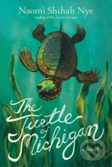 Kniha: Turtle Of Michigan (Naomi Shihab Nye). Greenwillow Books, 2023