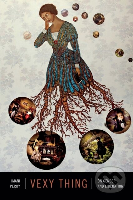 Kniha: Vexy Thing (Imani Perry). Duke University, 2018