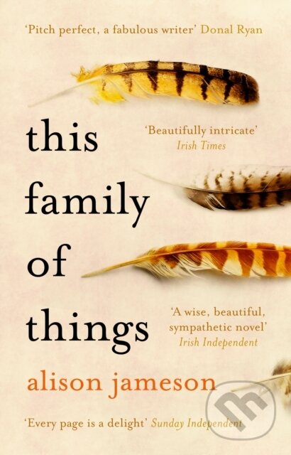Kniha: This Family of Things (Alison Jameson). Black Swan, 2018