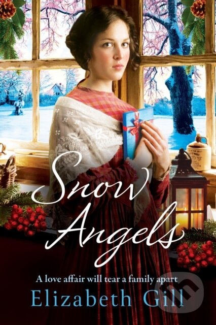 Kniha: Snow Angels (Elizabeth Gill). Quercus, 2017