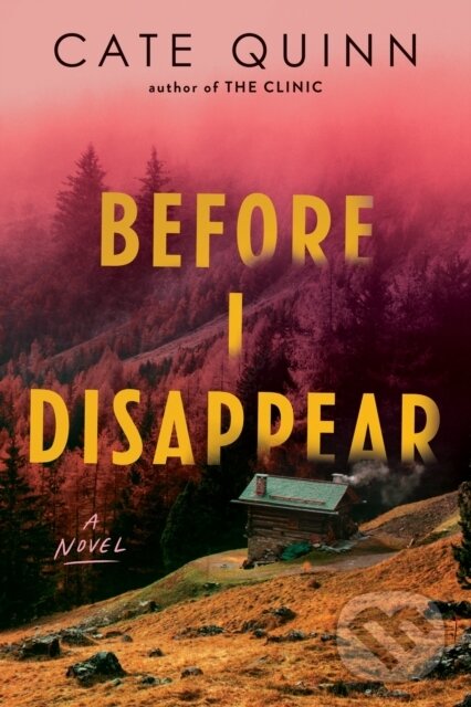 Kniha: Before I Disappear (Cate Quinn). Sourcebooks, 2026