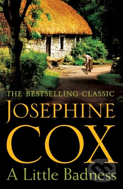 Kniha: A Little Badness (Josephine Cox). Headline Book, 2017
