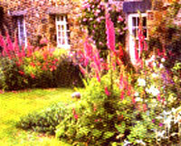 Guernsey Cottage Garden - Clive Nichols, Crown & Andrews