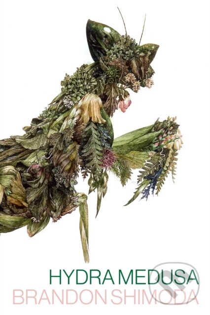 Kniha: Hydra Medusa (Brandon Shimoda). Nightboat Books, 2023