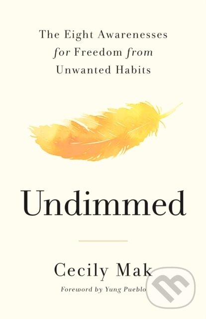 Kniha: Undimmed (Cecily Mak). Flatiron Books, 2026