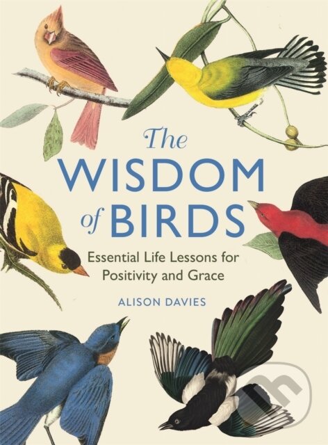 Kniha: The Wisdom of Birds (Alison Davies). , 2024
