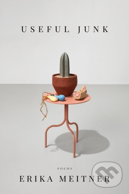 Kniha: Useful Junk (Erika Meitner). , 2022