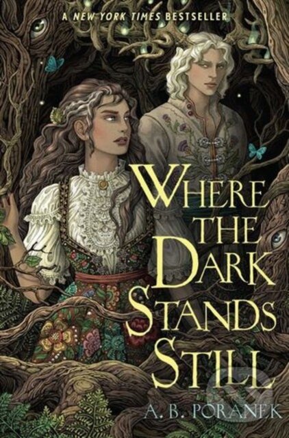 Kniha: Where the Dark Stands Still (A. B. Poranek). Margaret K. McElderry Books, 2025