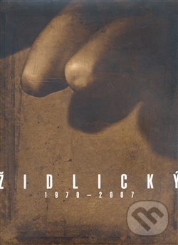 Kniha: Vladimír Židlický (David Židlický)