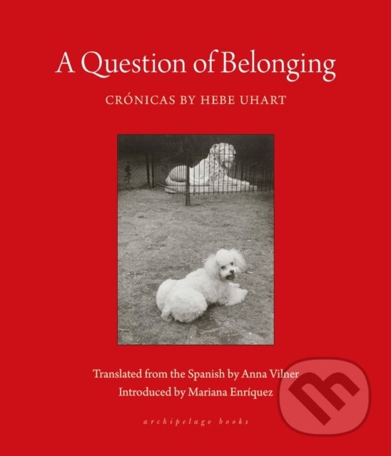 Kniha: A Question of Belonging (Anna Vilner a Hebe Uhart). Archipelago, 2024