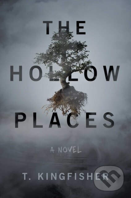 Kniha: The Hollow Places (T. Kingfisher). Gallery Books, 2020