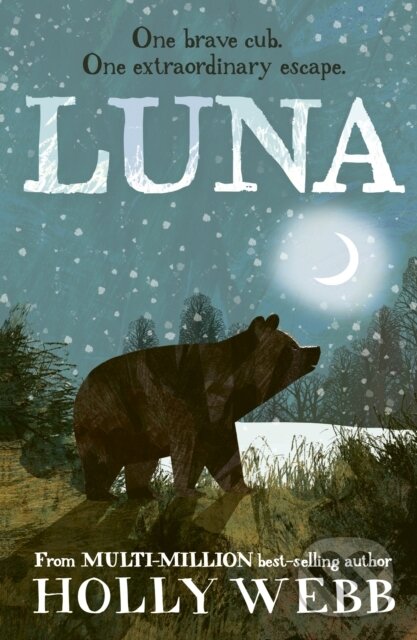 Kniha: Luna (Holly Webb). Little Tiger, 2020
