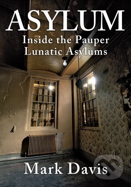 Kniha: Asylum (Mark Davis). Amberley Publishing, 2019