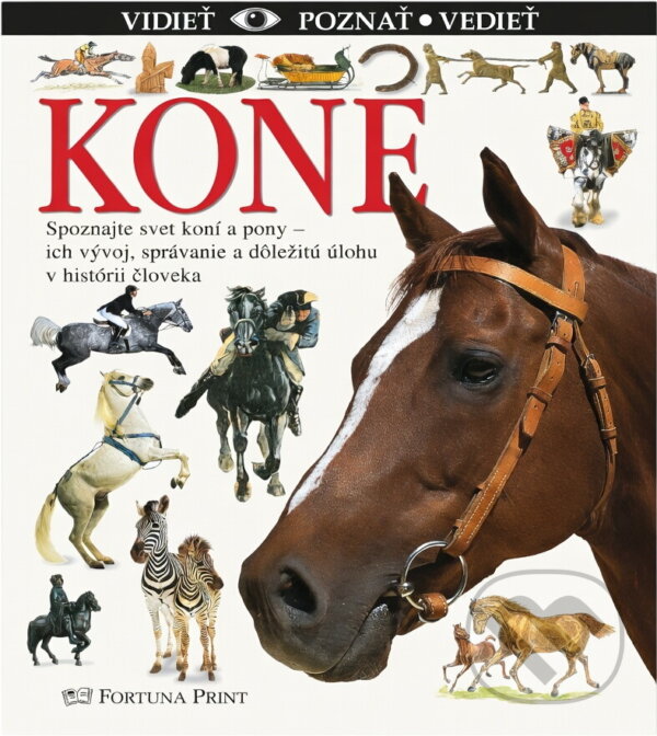 Kniha: Kone vidieť, poznať, vedieť (Fortuna Libri). Fortuna Libri