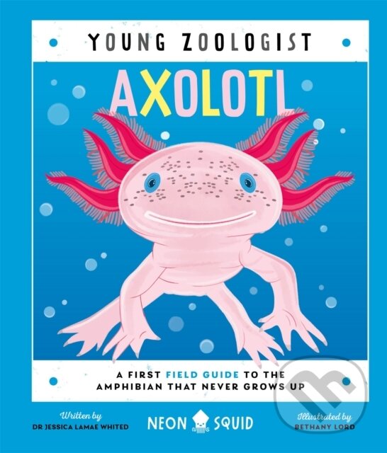 Kniha: Axolotl (Young Zoologist) (Jessica L. Whited a Neon Squid). Priddy Books, 2024