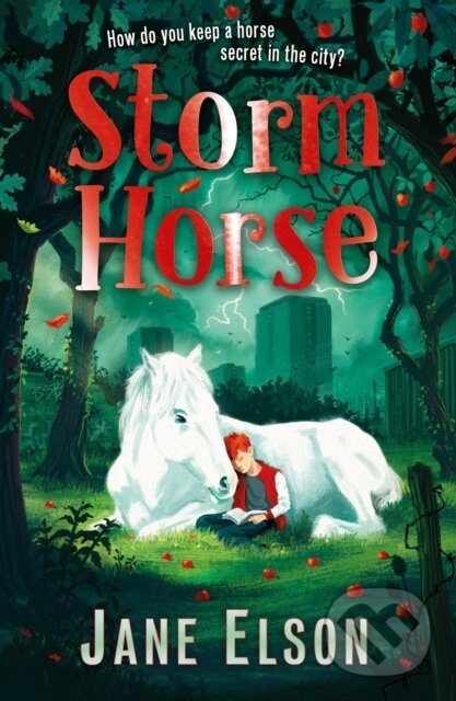 Kniha: Storm Horse (Jane Elson). Hodder Children's Books, 2021