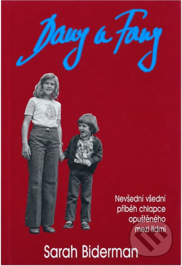 Kniha: Dany a Fany (Sarah Bidermanová). Metafora, 2004