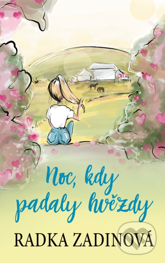 Levně Noc, kdy padaly hvězdy - Radka Zadinová, Daniela Pavlíková (ilustrácie) - kniha z kategorie Beletria