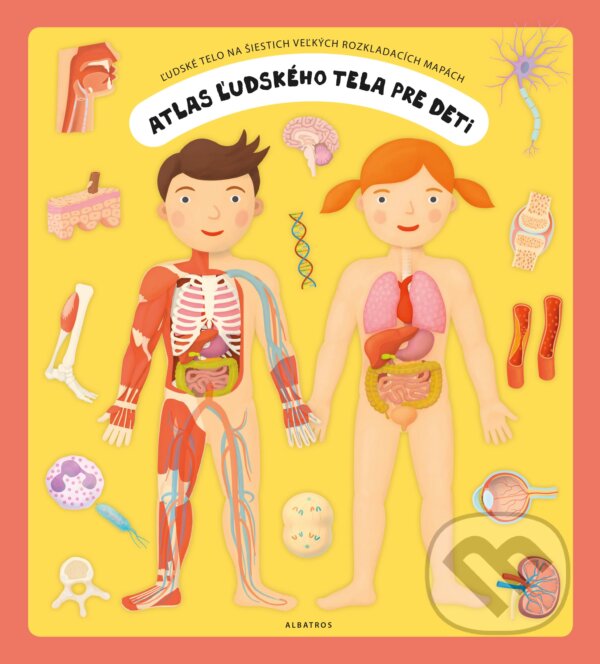 Atlas ľudského tela pre deti - Oldřich Růžička, Tomáš Tůma (ilustrácie), Albatros SK, 2018
