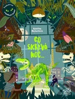 Levně Co skrývá noc - Kateřina Bažantová - kniha z kategorie Rozprávky