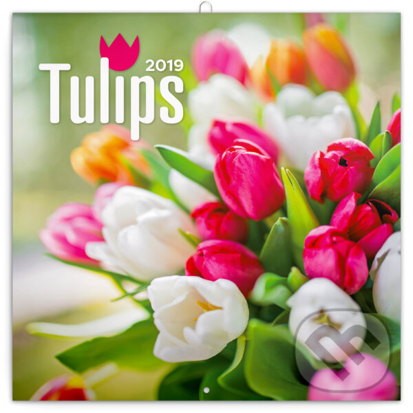 Tulips 2019, Presco Group, 2018