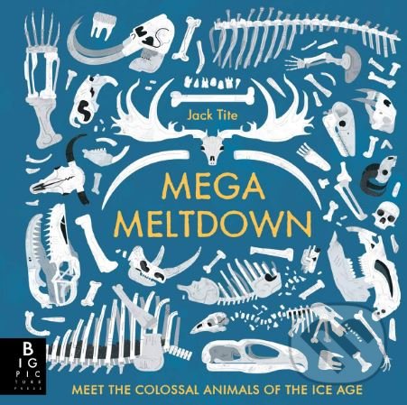 Levně Mega Meltdown - Jack Tite - kniha z kategorie Naučné knihy