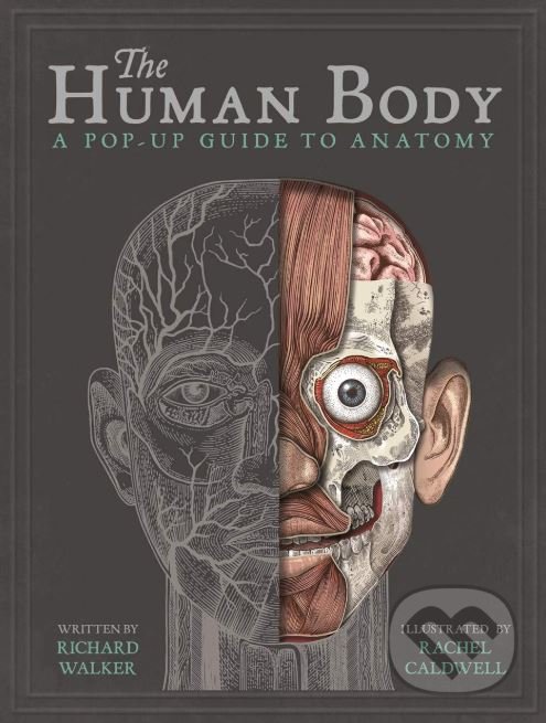 Levně The Human Body (A Pop-Up Guide to Anatomy) - Richard Walker - kniha z kategorie Medicína