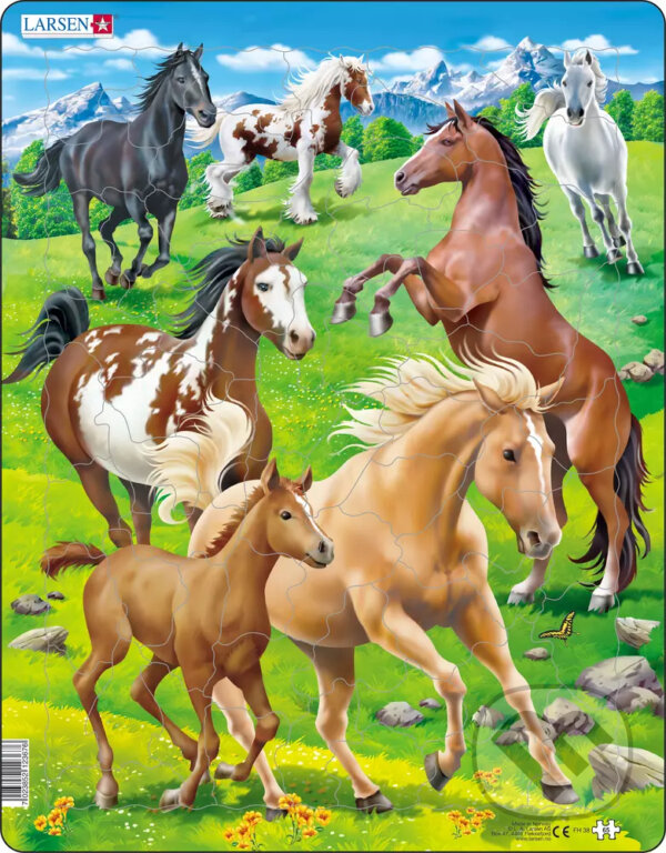 Levně Kone FH38 - puzzle z kategorie Náučné puzzle