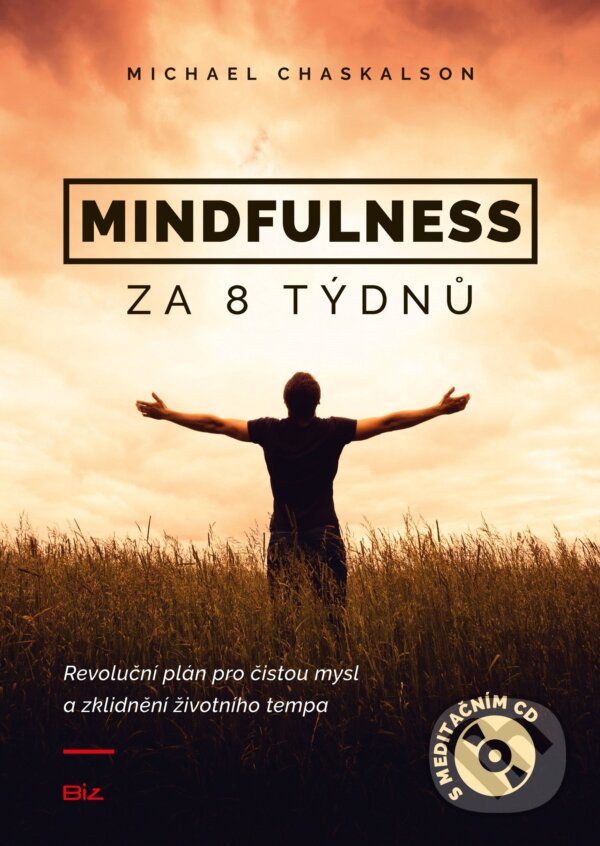 E-kniha: Mindfulness za 8 týdnů (Michael Chaskalson)