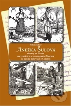 Levně Anežka Šulová (Obrazy ze života na vesnicích severozápadní Moravy ve druhé polovině 19. století) - kniha z kategorie História