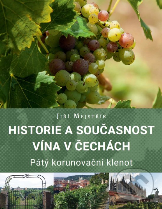 Levně Historie a současnost vína v Čechách (Pátý korunovační klenot) - kniha z kategorie Teória umenia