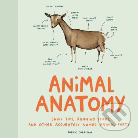 Levně Animal Anatomy (Sniff Tips, Running Sticks, and Other Accurately Named Animal Parts) - kniha z kategorie Prírodné vedy a technika