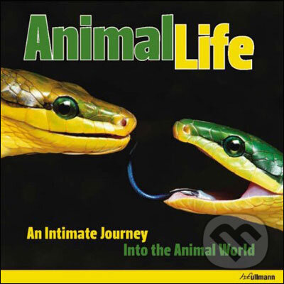 Kniha: Animal Life (Hans-Jurgen Koch a Heidy Koch). Ullmann, 2008