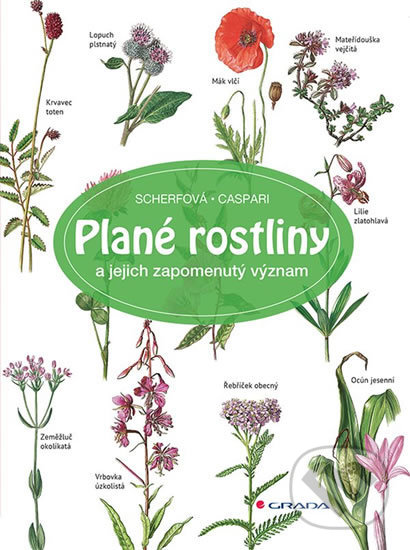 Levně Plané rostliny a jejich zapomenutý význam - Gertrud Scherfová, Claus Caspari (ilustrátor) - kniha z kategorie Biológia