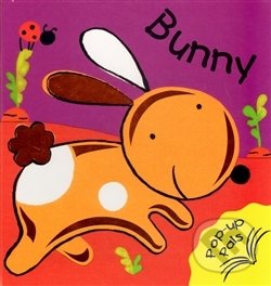 Bunny - Pop Up Book, 3C Publishing, 2010